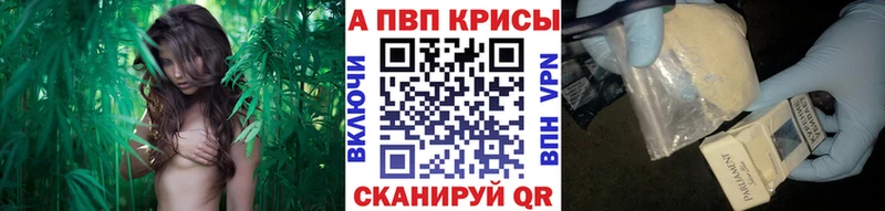 где продают наркотики  Волжский  APVP крисы CK 