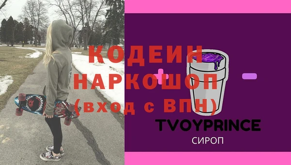 хмурый Алзамай