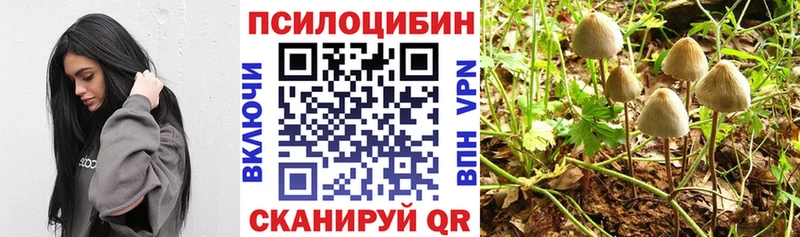Псилоцибиновые грибы Cubensis  Волжский 