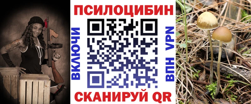 Псилоцибиновые грибы Psilocybine cubensis Волжский