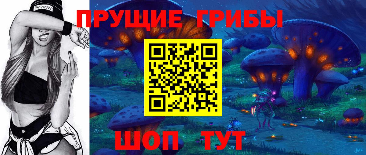 Галлюциногенные грибы Cubensis Волжский
