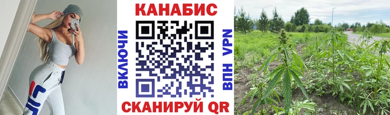 Марихуана конопля  Волжский 