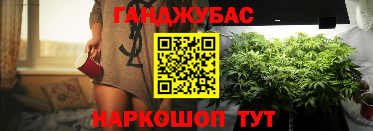 Каннабис OG Kush Волжский